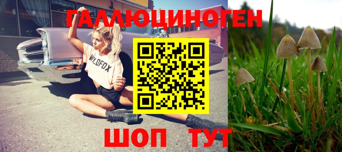 где продают наркотики  Вход с VPN  Кашира  Галлюциногенные грибы GOLDEN TEACHER 
